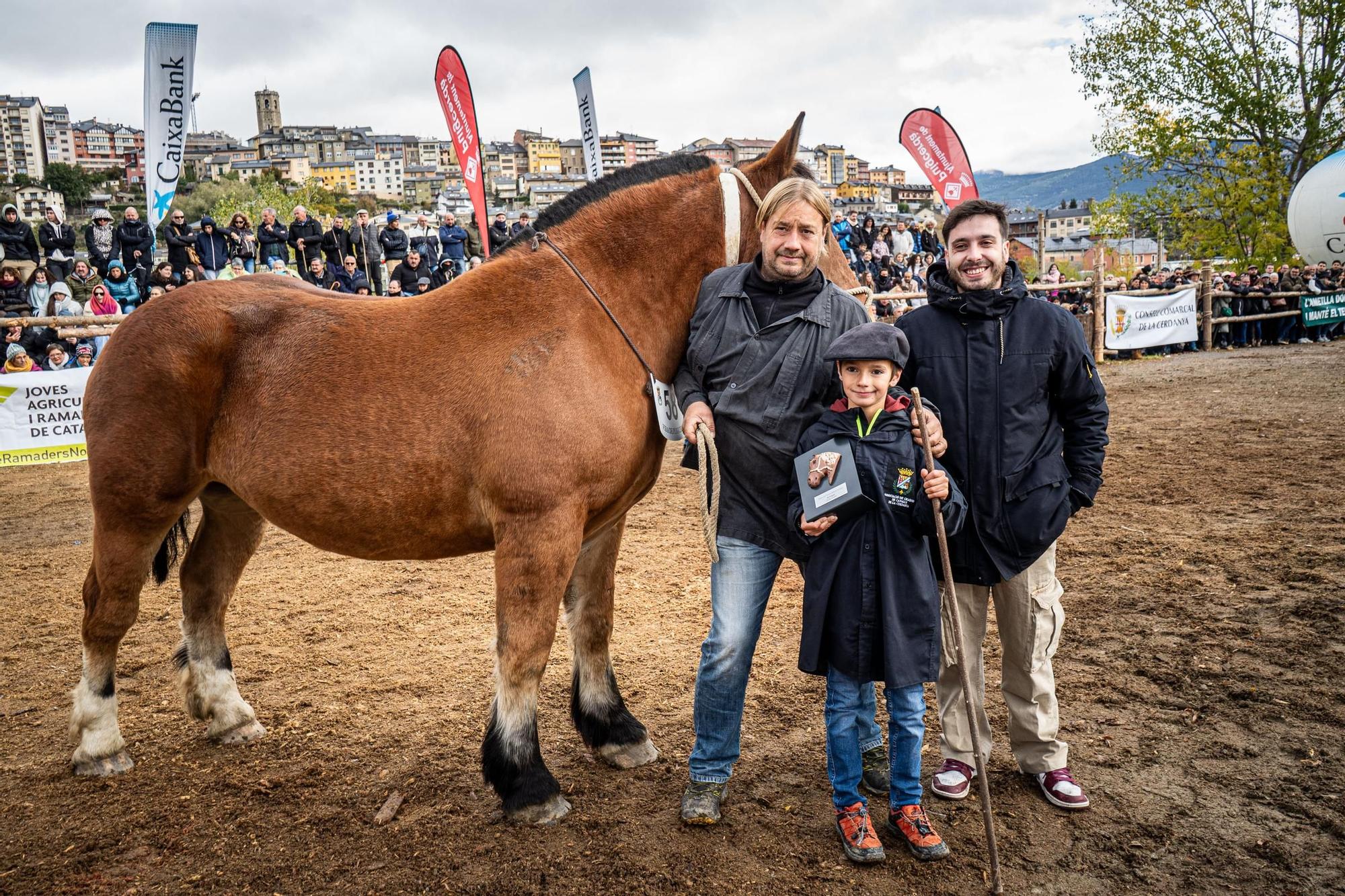 Totes les imatges de la Fira del Cavall de Puigcerdà