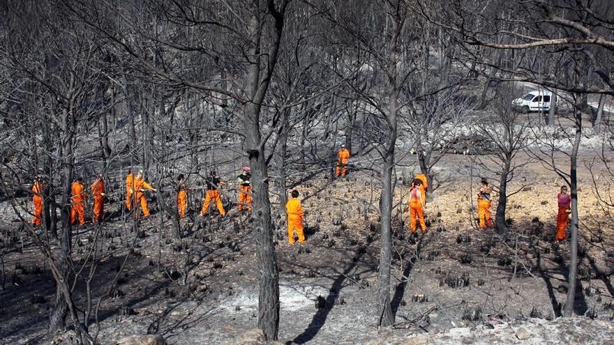 El fuego forestal de la Serra fue el más grave de Balears.