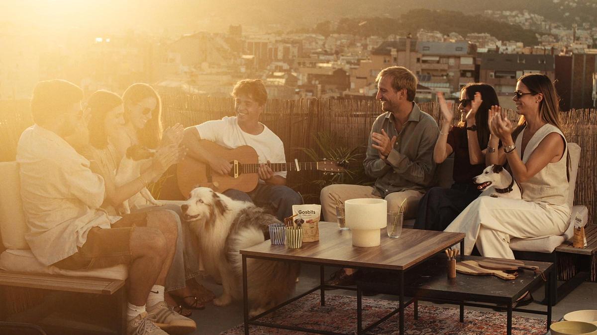 El músic, compositor i cantautor Cesc Sansalvadó ha creat la banda sonora original de la campanya “Simple Days” i és un dels protagonistes de la campanya de Gosbi.