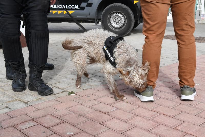 Control policial de los GOIA caninos en San Bartolomé