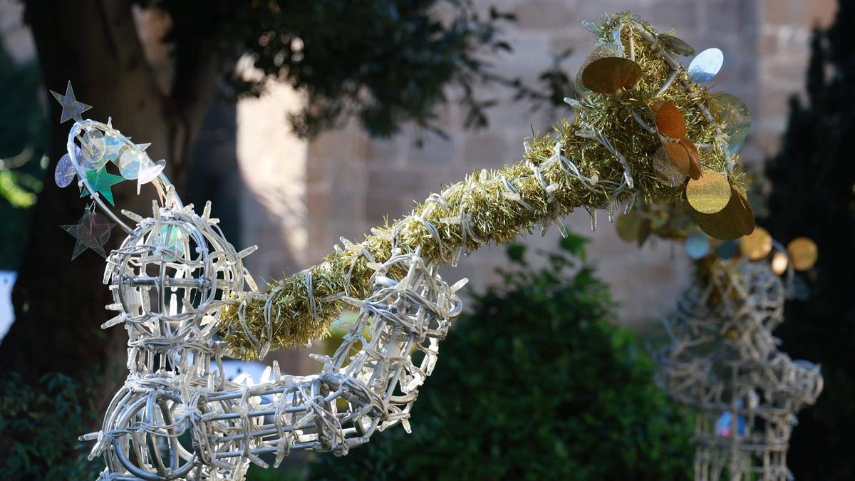 FOTOGALERÍA | Cuenta atrás para el encendido de luces navideño en Cáceres