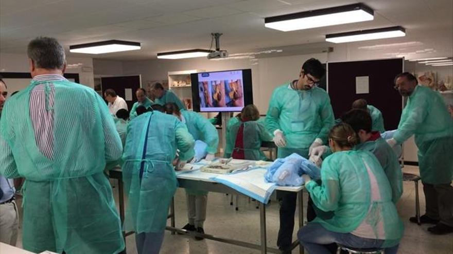 Expertos nacionales abordan en un curso la patología de la mano