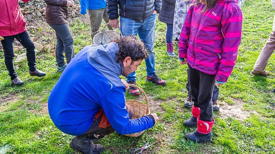 GALERÍA| Tábara recupera los valores de la Sierra de la Culebra