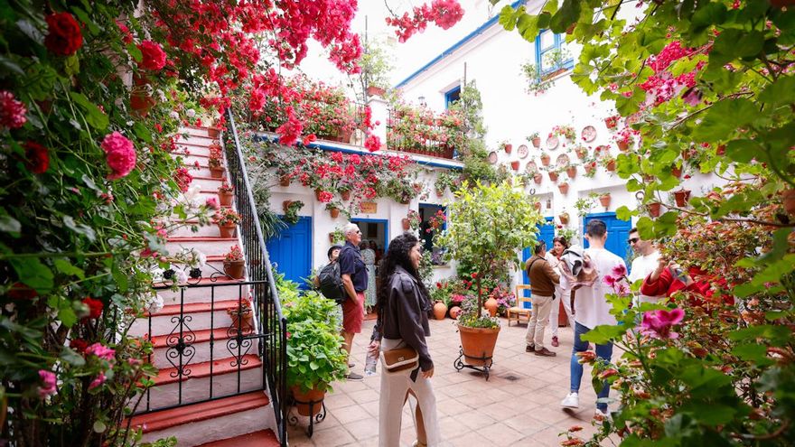 Una joya en cada ruta: así son los Patios de Córdoba que más visitas atraen