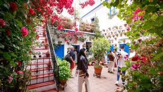 Una joya en cada ruta: así son los Patios de Córdoba que más visitas atraen