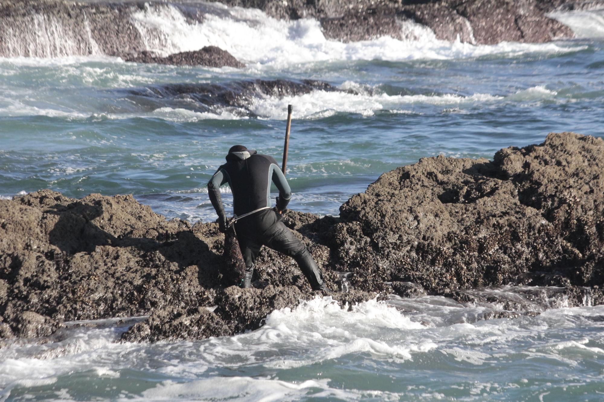 Percebeiros de Cangas vuelven al "manicomio" de la Costa da Vela