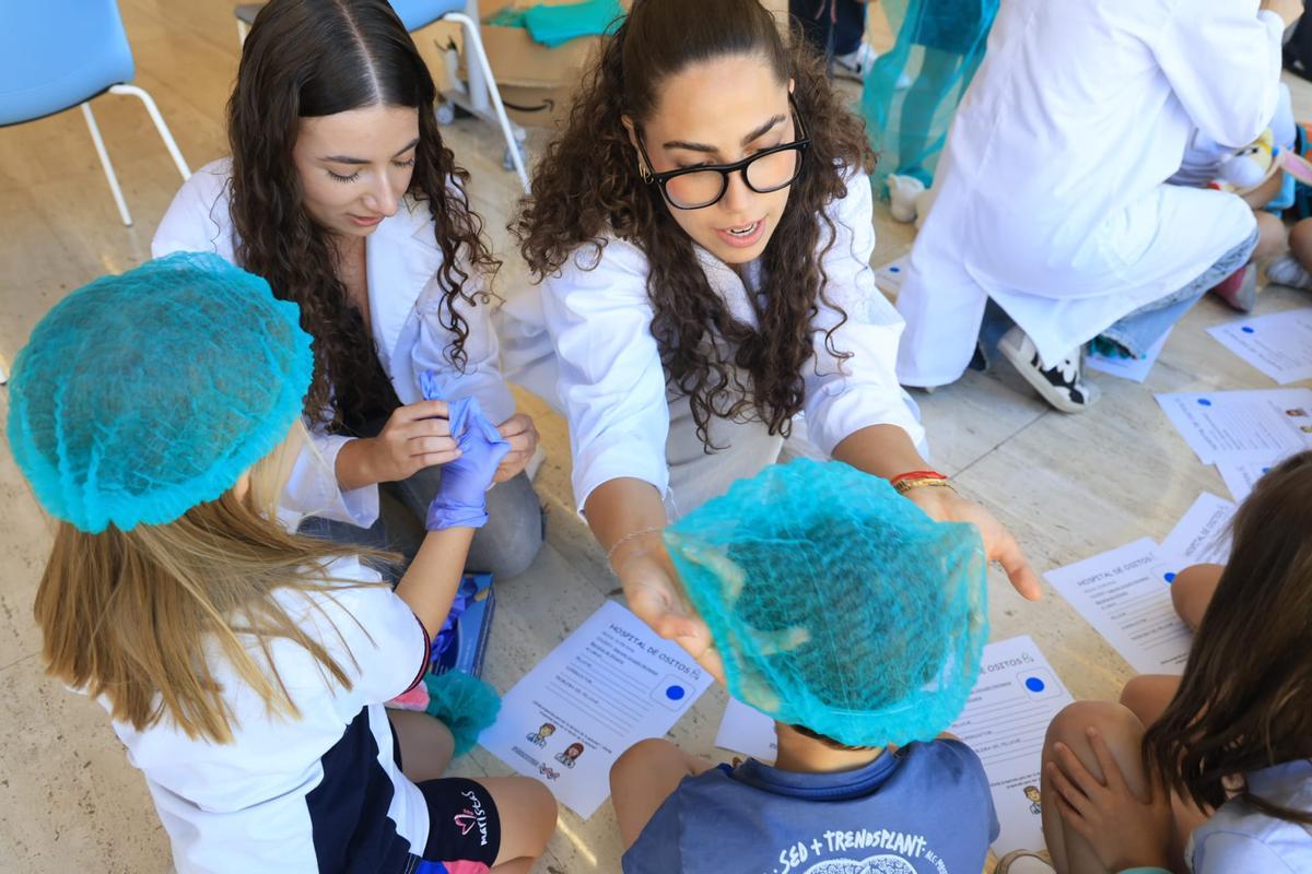 Estudiantes de Medicina de Alicante y Elche "pasan consulta" con los niños en el "I Hospital de Ositos"