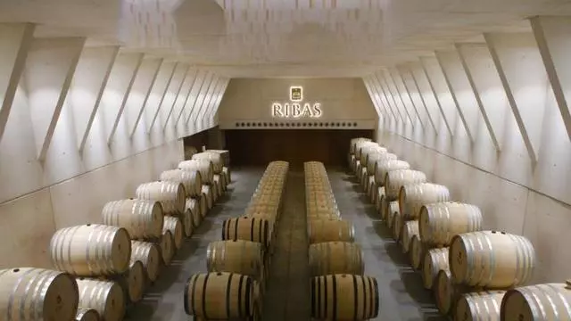 Weintourismus auf Mallorca: Besuch bei der Bodega Ribas in Consell