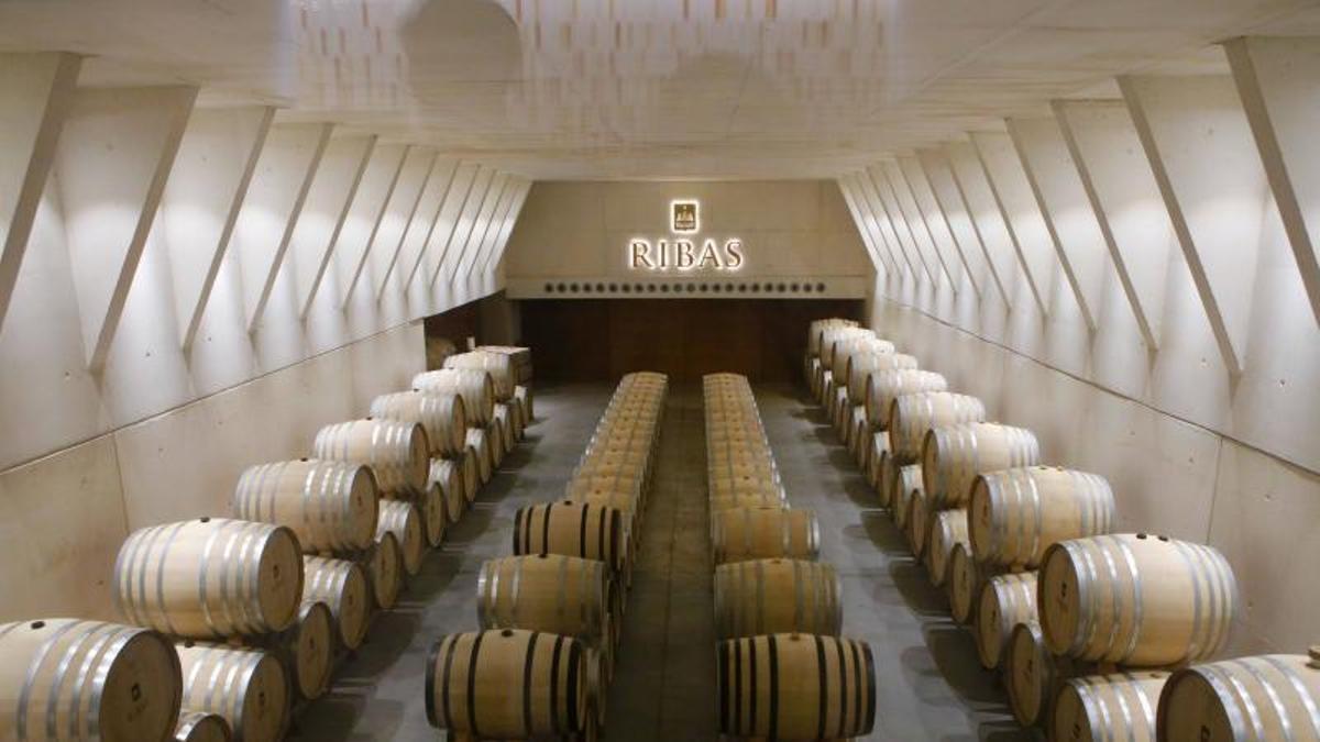 Weintourismus auf Mallorca: Besuch bei der Bodega Ribas in Consell