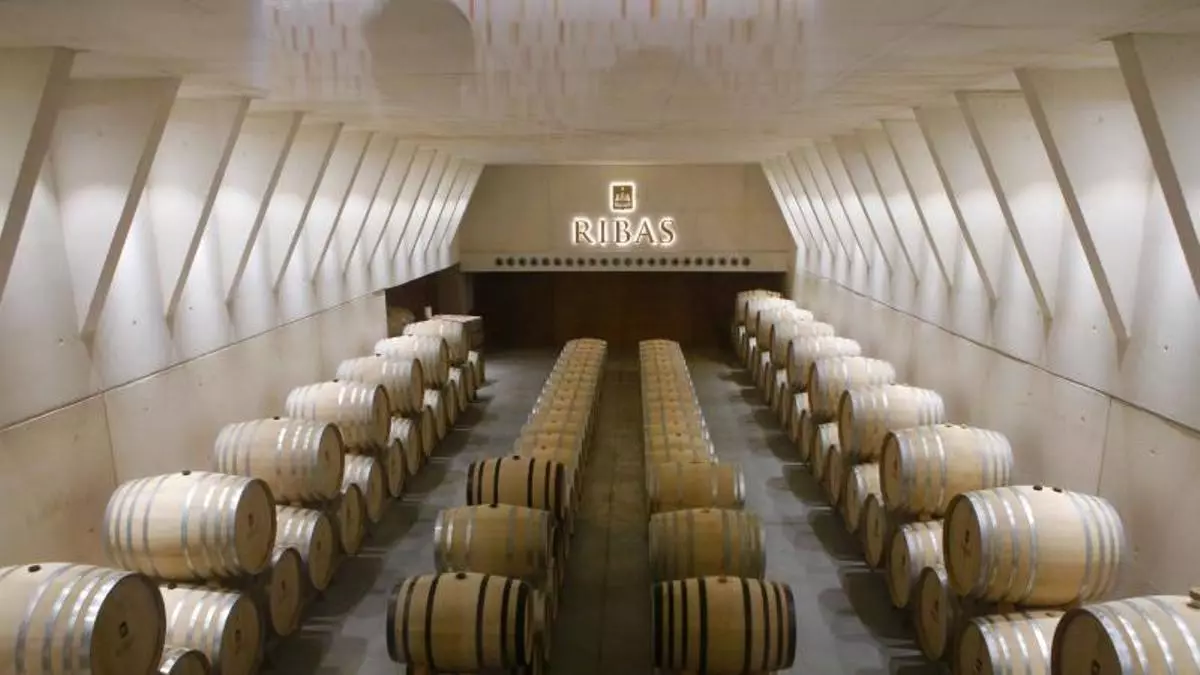 Weintourismus auf Mallorca: Besuch bei der Bodega Ribas in Consell