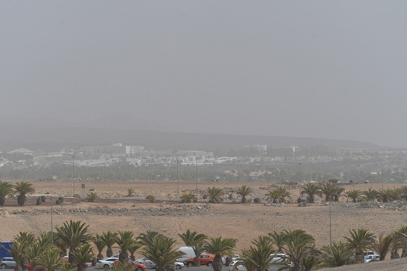 Calima en Las Palmas de Gran Canaria (17/03/2022)