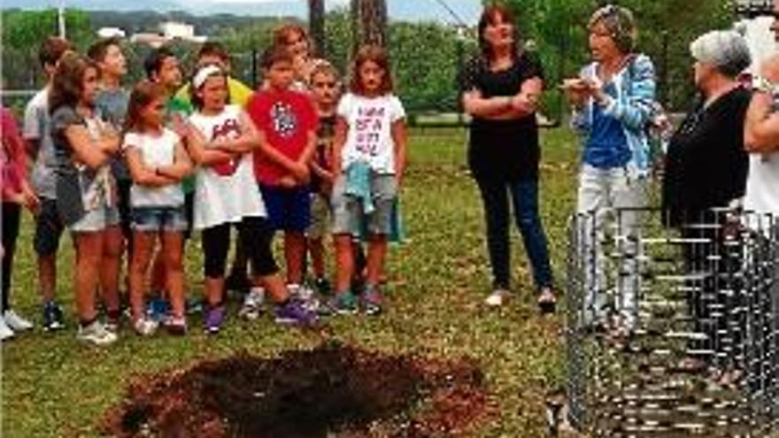 Moment de l&#039;acte en què es va plantar un nou arbre de la pau.