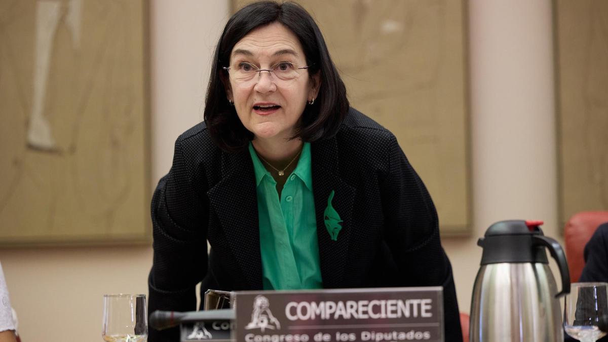 La presidenta de la Comisión Nacional de los Mercados y Competencia (CNMC), Cani Fernández.
