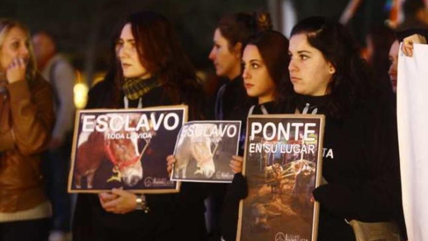 Protesta contra el uso de ponis en la Feria de Navidad