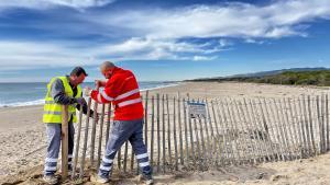 El AMB cierra una playa de Viladecans para que especies protegidas de aves puedan reproducirse.