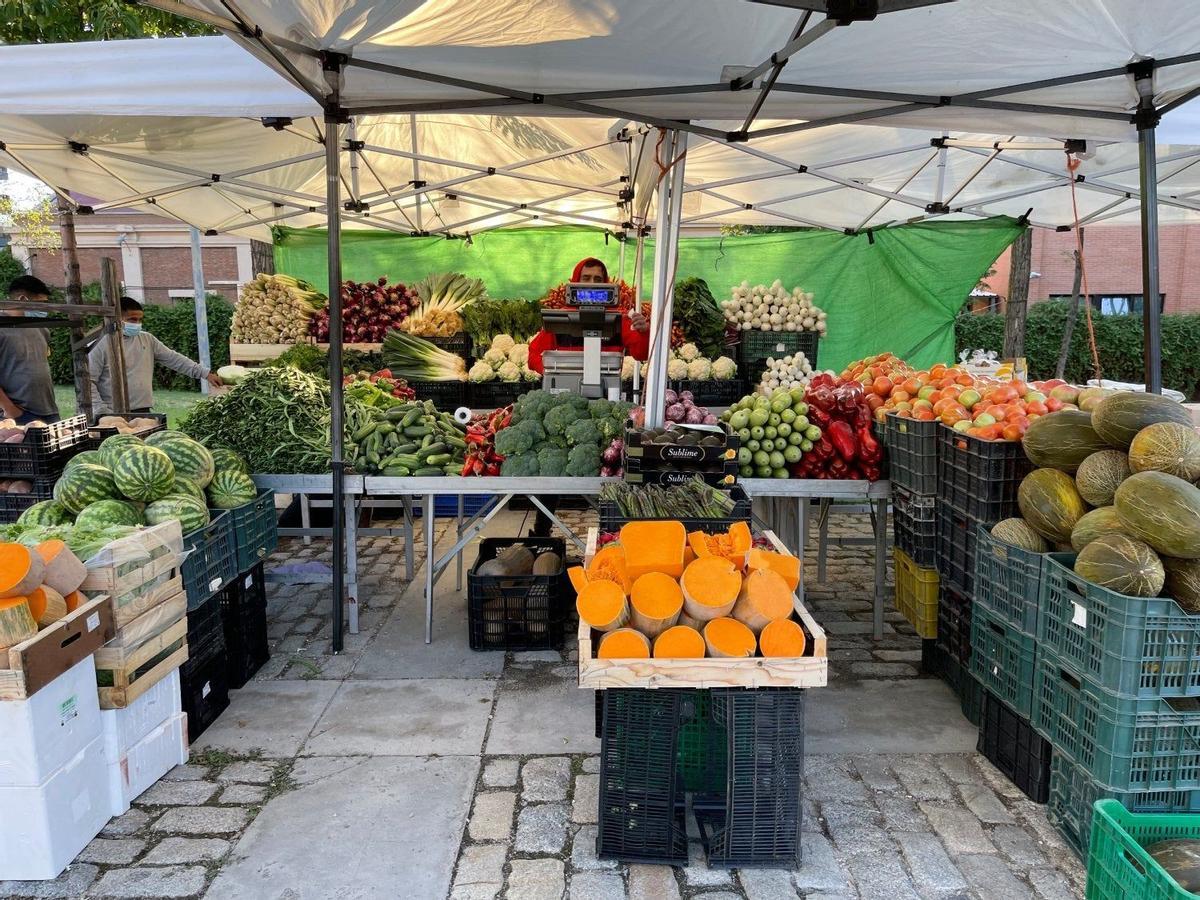 Mercado Planetario, mercadillos alternativos