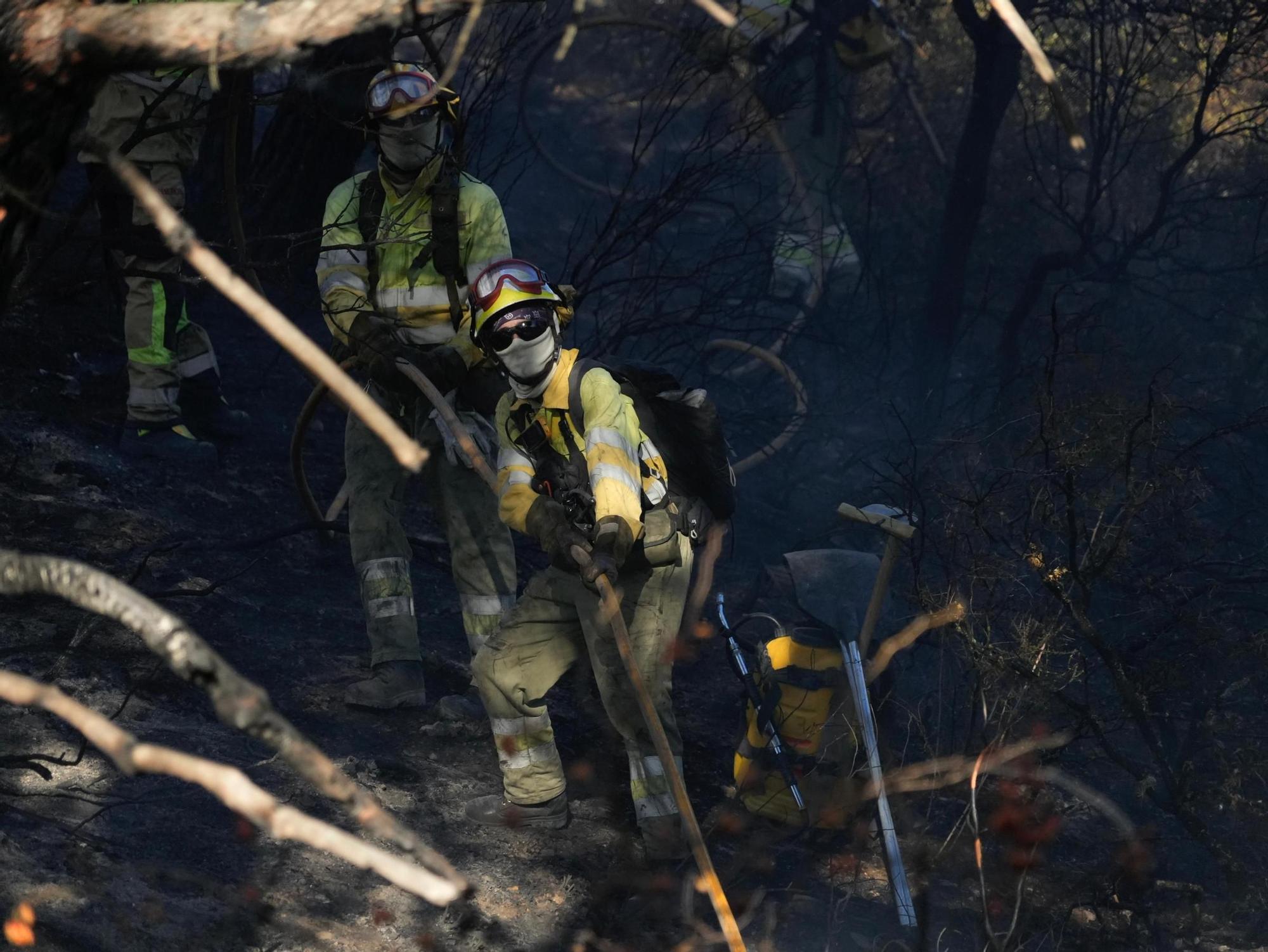 Incendio en el entorno de la Fuente de la Salud de Zamora