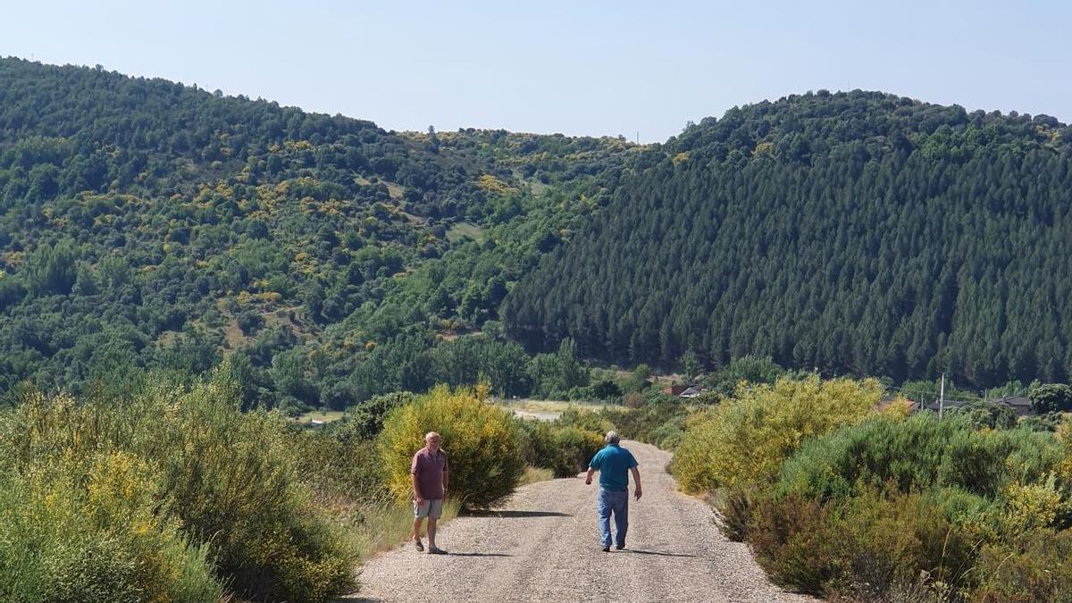 Tramo del camino del lobo