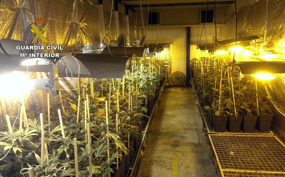 Ocho detenidos en Murcia y Alicante por cultivo y venta de marihuana