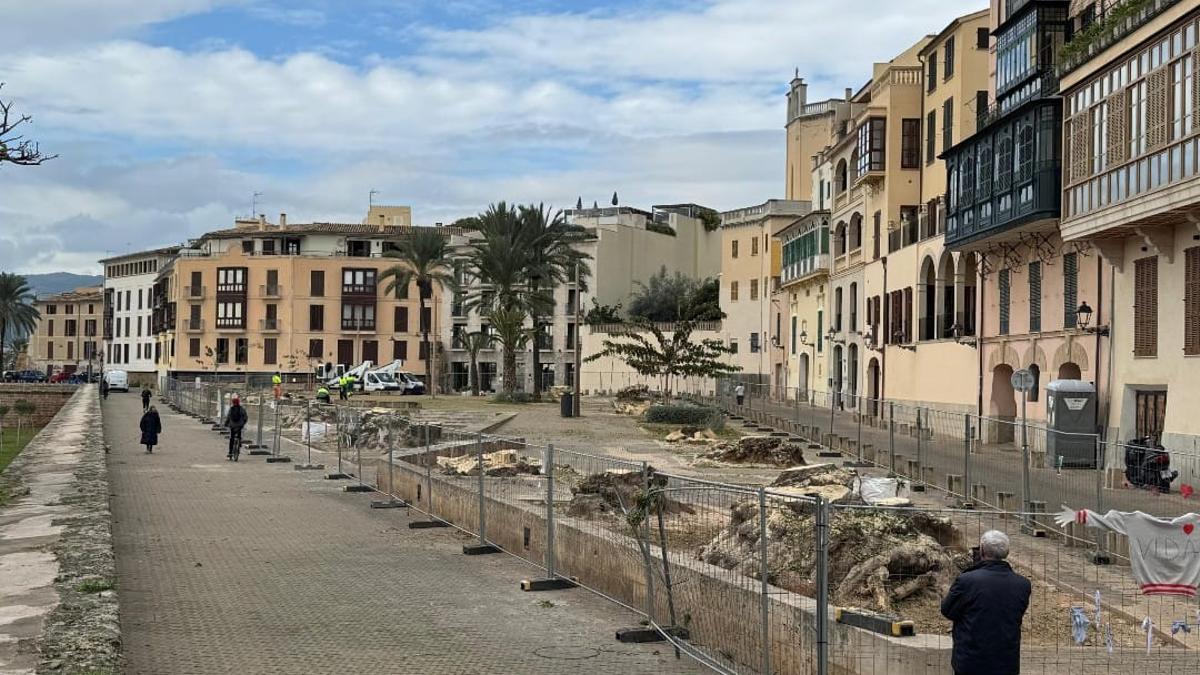Aspecto de la plaza Llorenç Villalonga horas después de la tala.
