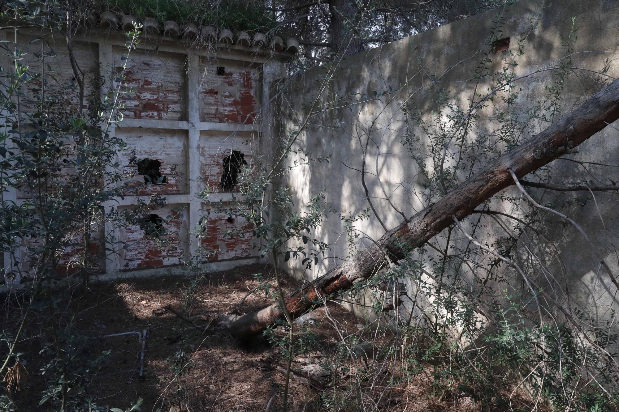 El cementerio abandonado de Moncada que te recordará a las películas de zombies