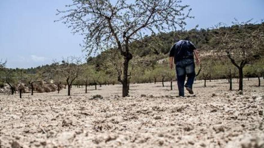 Los agricultores afectados por la sequía tendrán exenciones en la declaración de la Renta