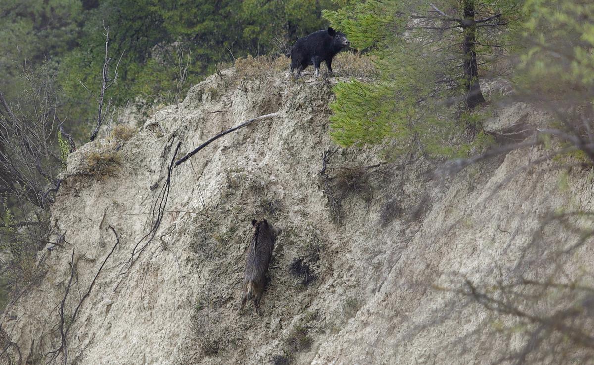 Las lluvias agravan el riesgo de derrumbes en el barranco de Benillup
