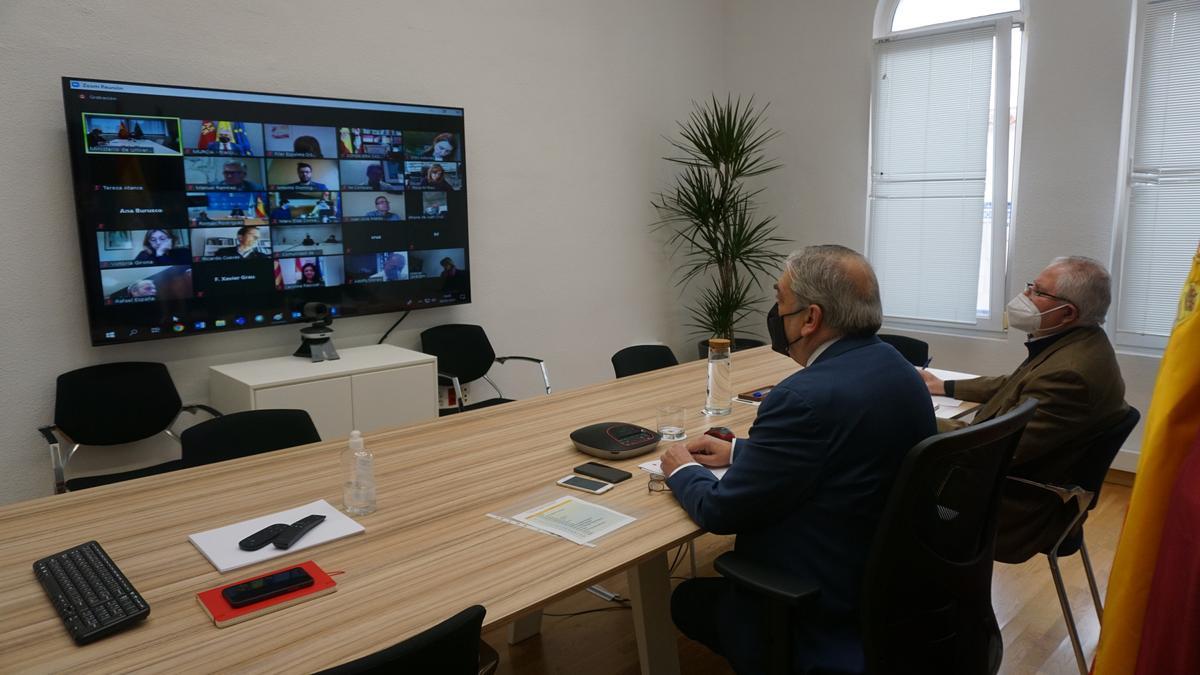 La reunión telemática entre el Ministro y sus homólogos autonómicos.