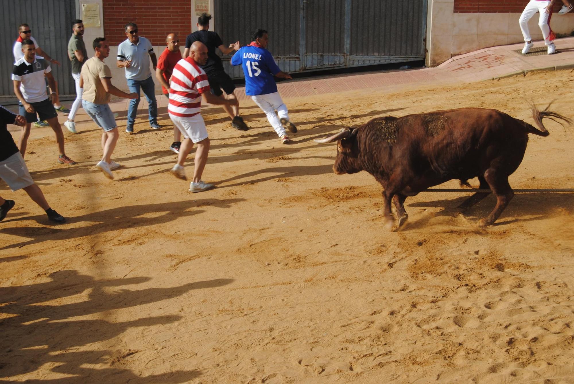 Así ha sido la carrera del torito Espléndido en Benavente