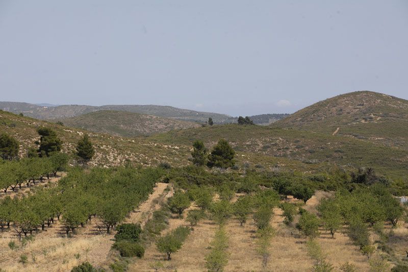 Andilla y Oset: Diez años después del incendio