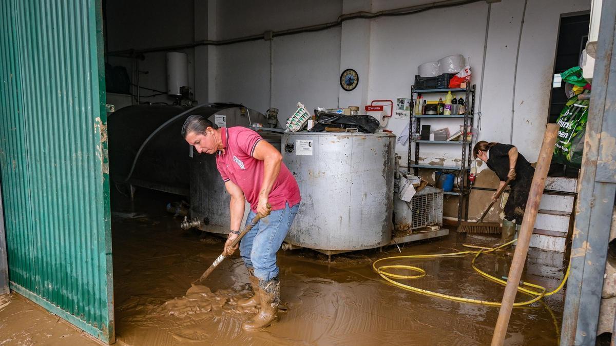 Limpieza de daños causados por el temporal en Gévora.