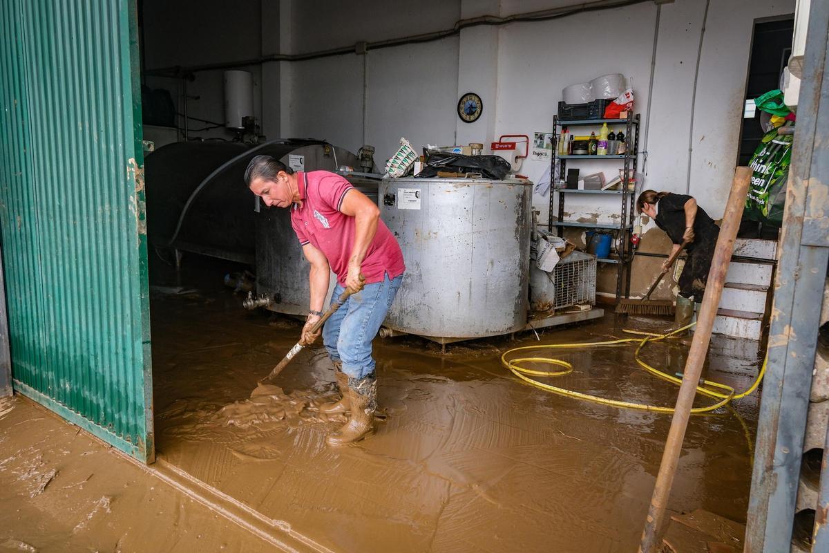 Limpieza de daños causados por el temporal en Gévora.