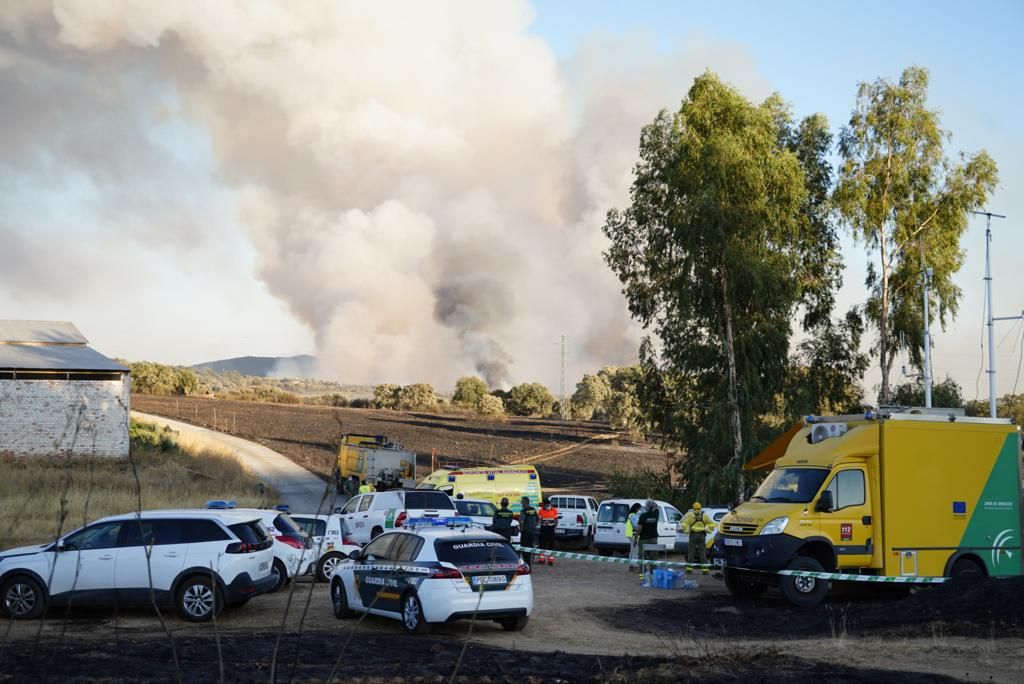 Incendio forestal en en el puerto del Calatraveño