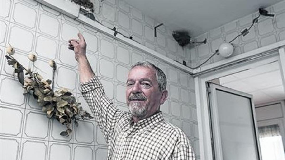 Fernando Porras, vecino de Rubí, con los dos nidos de golondrina común muy cerca de la cocina de su casa.