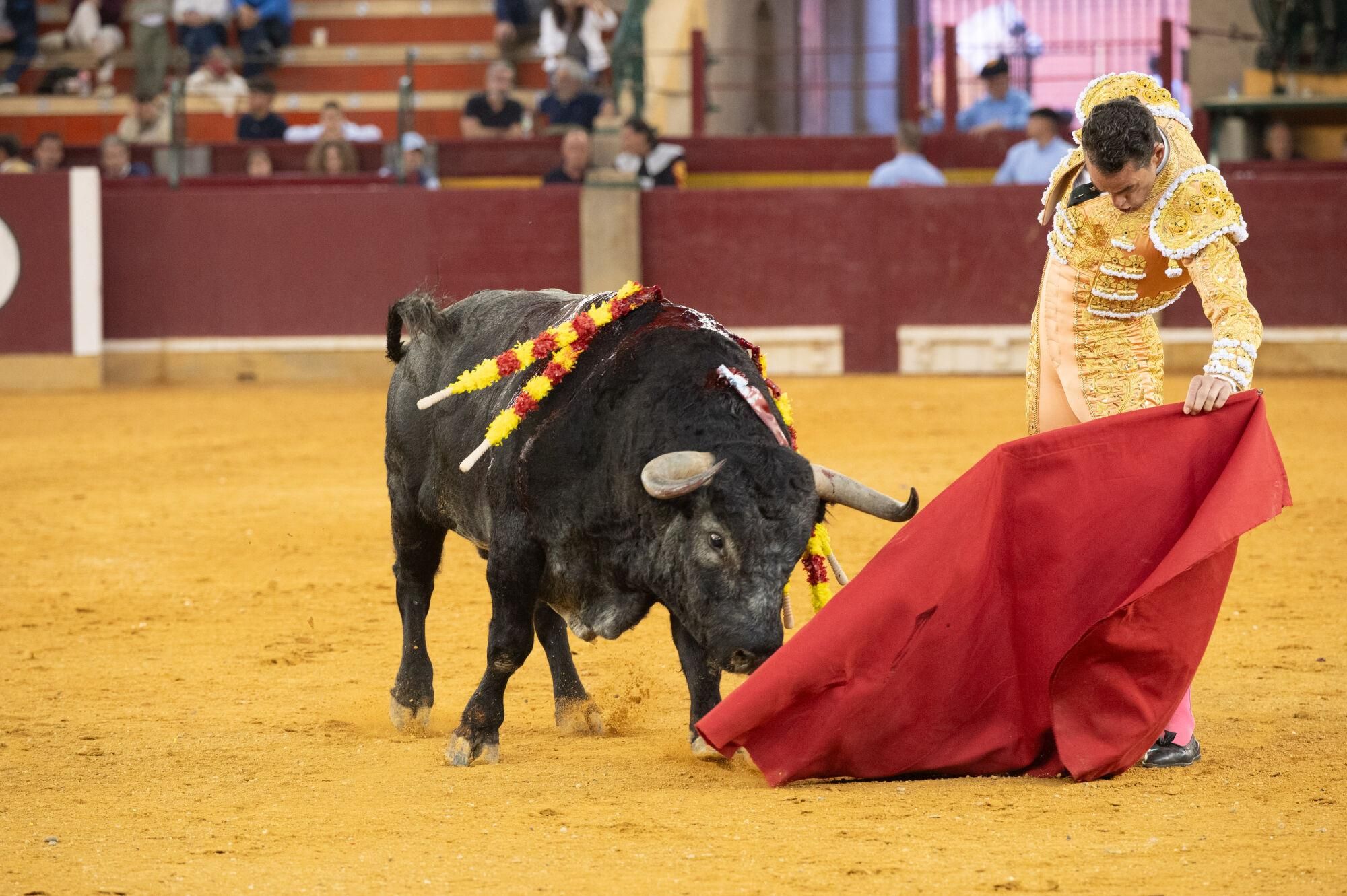 Concurso de ganaderías de la Feria del Pilar