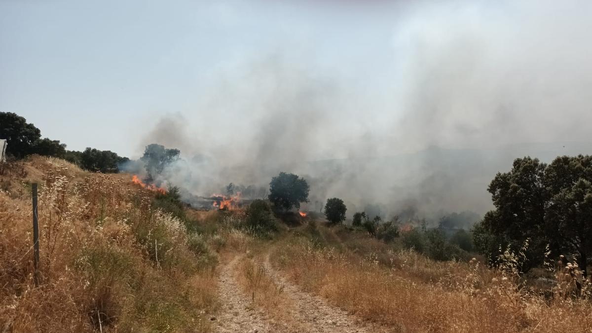 En el fuego de Barbastro arden hectáreas de monte bajo y carrasca.