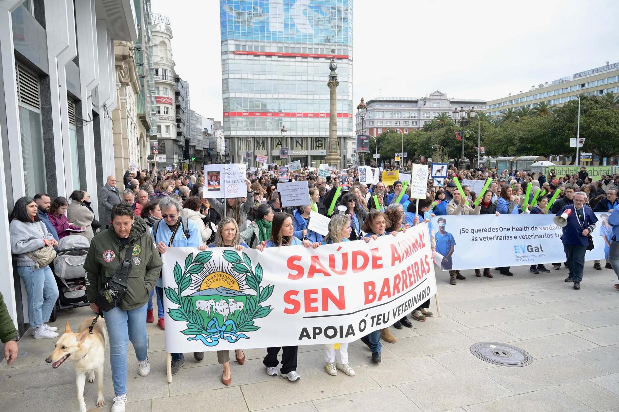 Protesta de veterinarios contra el nuevo decreto del Gobierno que regula el uso de medicamentos