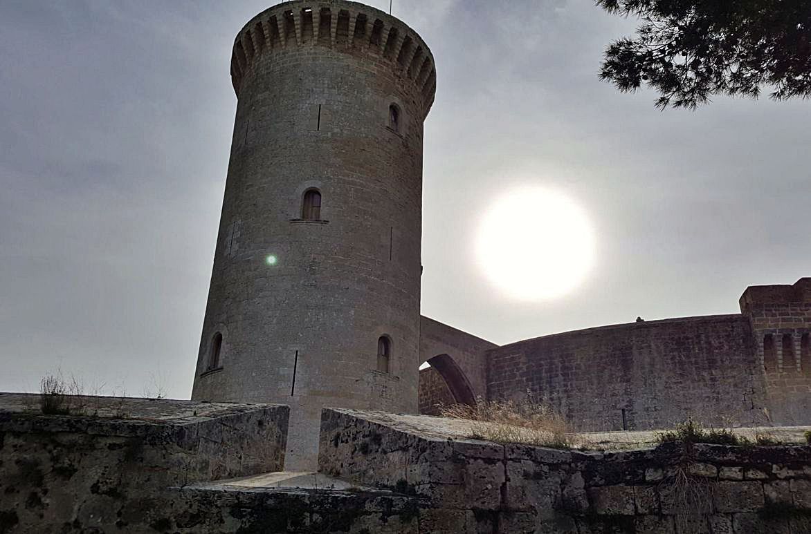 Sometidas a un hipotético control democrático, las autoridades mutilan el bosque de Bellver y lo prostituyen con un parque de atracciones. Si pudieran obrar a su antojo, venderían  el engorroso castillo piedra a piedra para  urbanizar la montaña.