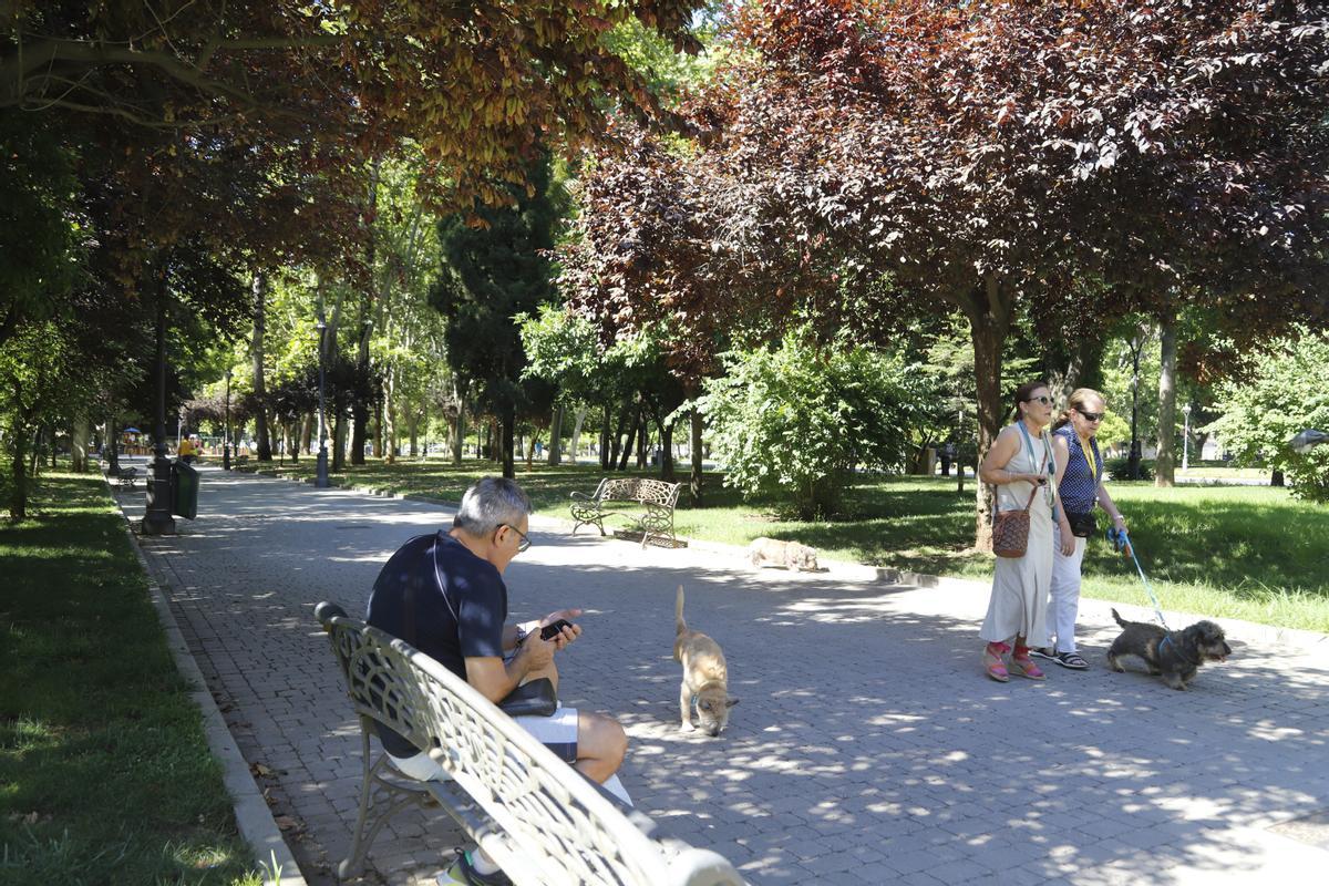 Jardines de Vallellano, en Córdoba