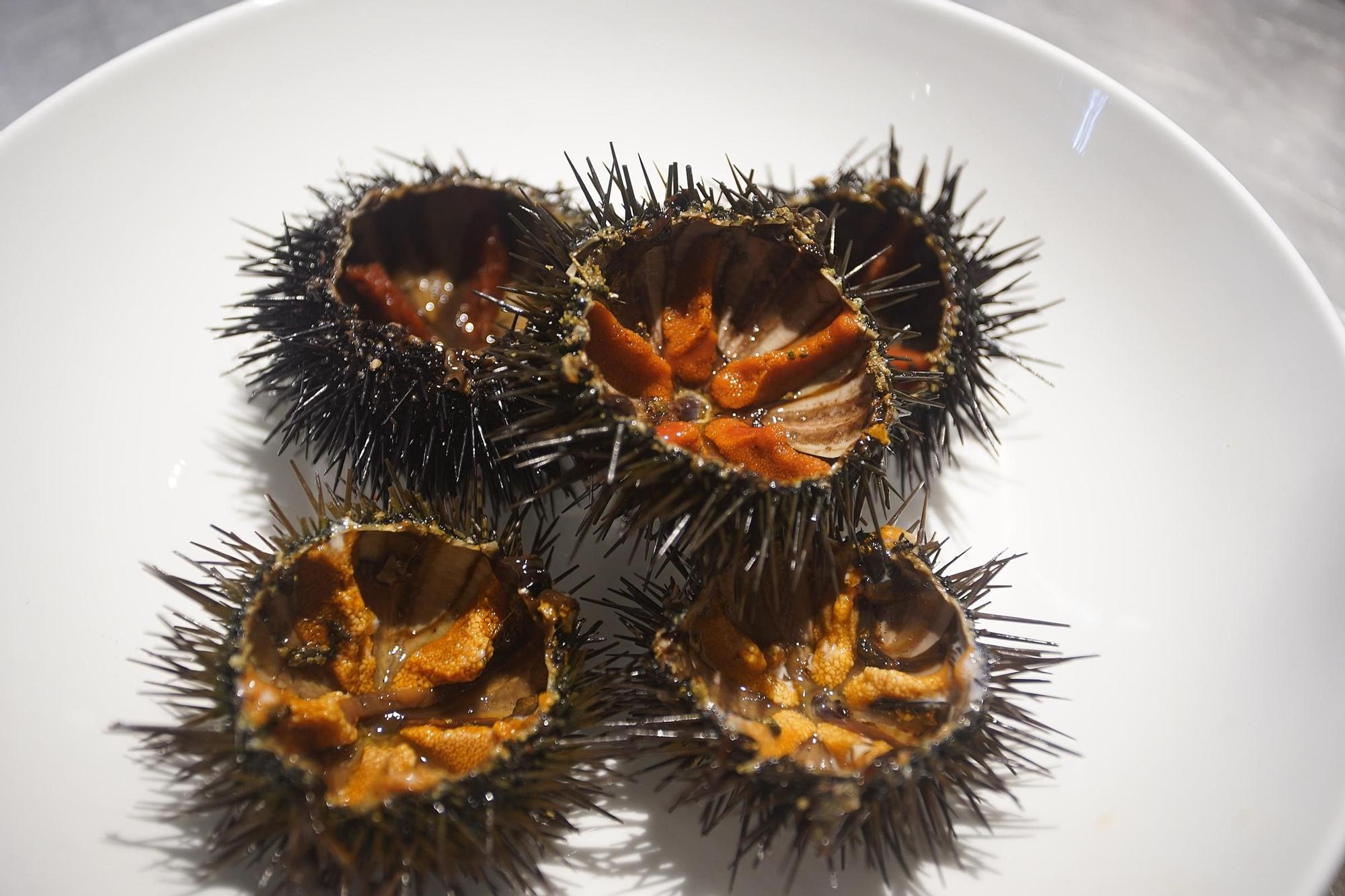 Garoines: L'exquisit gust de mar de la Costa Brava