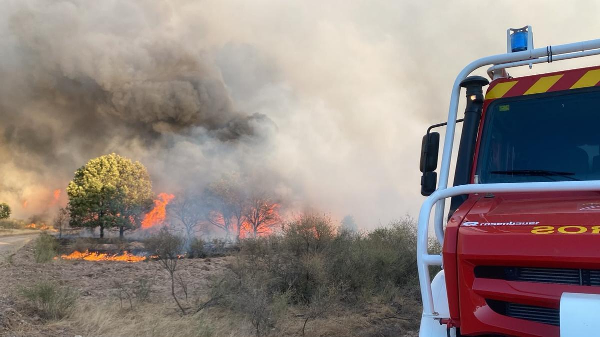 GALERÍA | Incendio forestal en Rábano de aAliste GALERÍA | Incendio forestal en Rábano de aAliste
