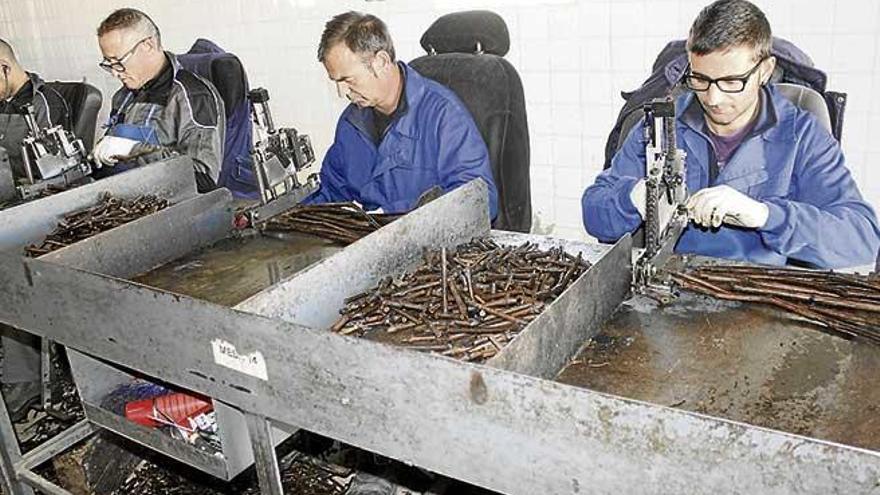 Trabajadores de viveros Villanueva en las bodegas Biniagual