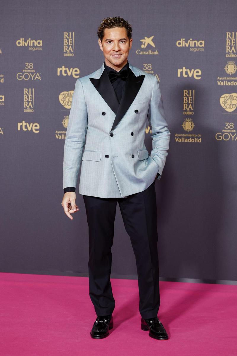 David Bisbal en los Premios Goya 2024