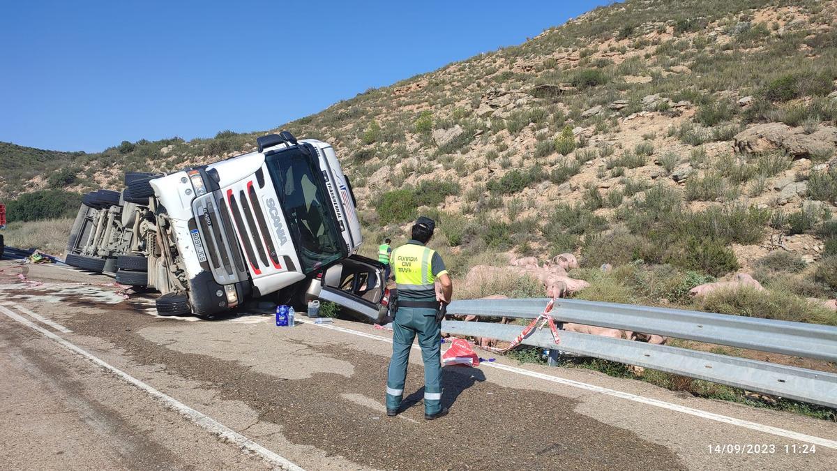 Un muerto y tres heridos graves en un accidente con un camión de cerdos ...