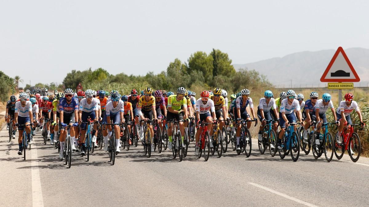 El pelotón, durante la undécima etapa