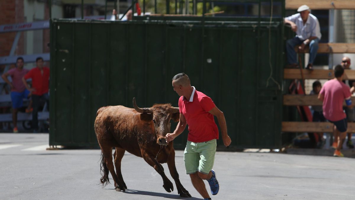 Los toros protagonizan las programaciones de algunas de las fiestas de barrio.