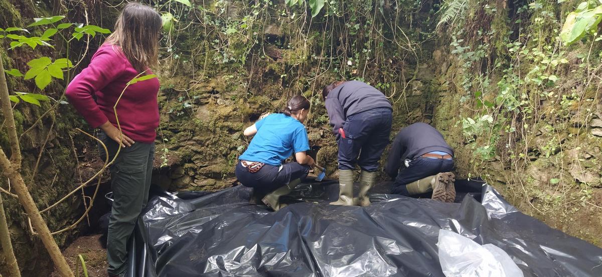 Educadores ambientales y voluntarios de Adega en la intervención realizada ayer en Ames