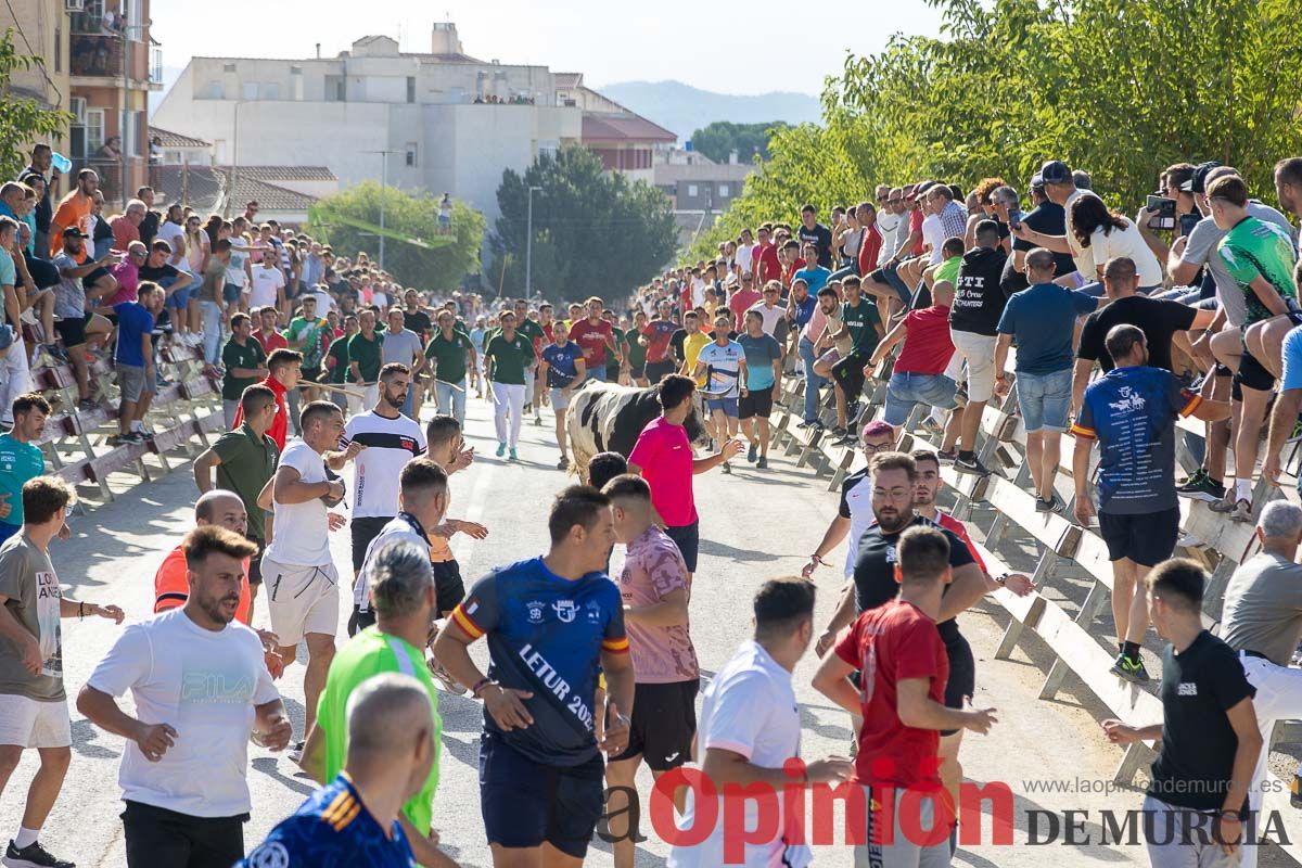 Sexto y último encierro de la Feria Taurina del Arroz en Calasparra