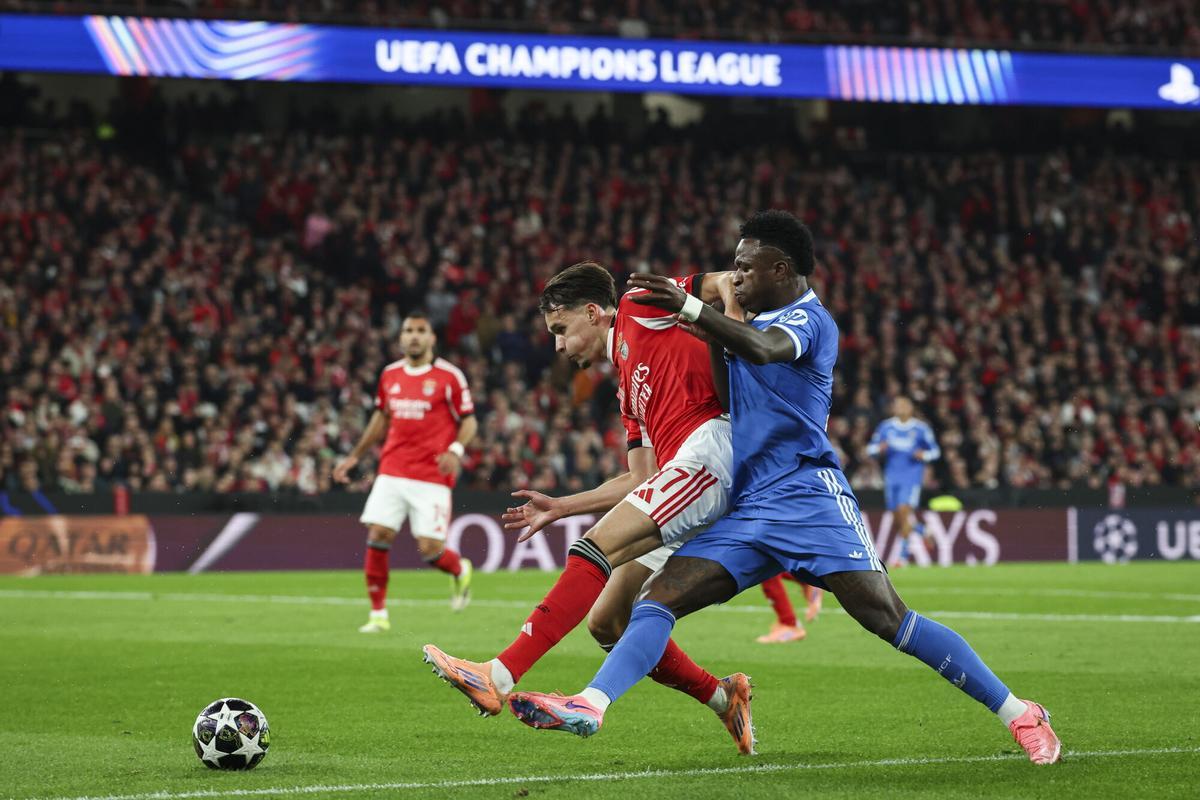 Amar Dedic lucha con Vinicius.