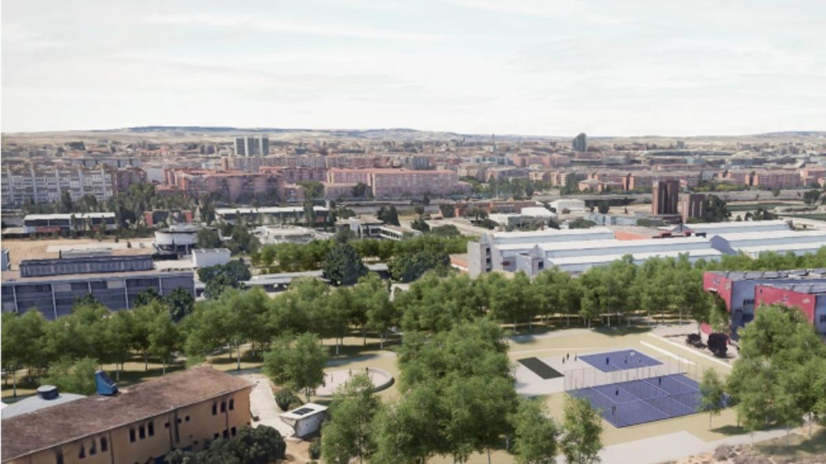 Recreación de los bosques lineales que se incorporarán en el campus público.